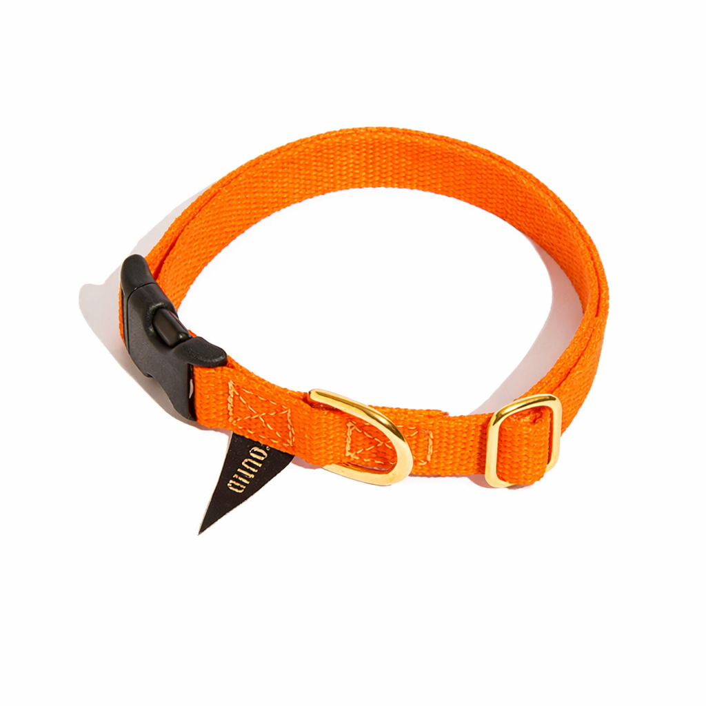 Found Classic Cotton Dog Collar | Orange