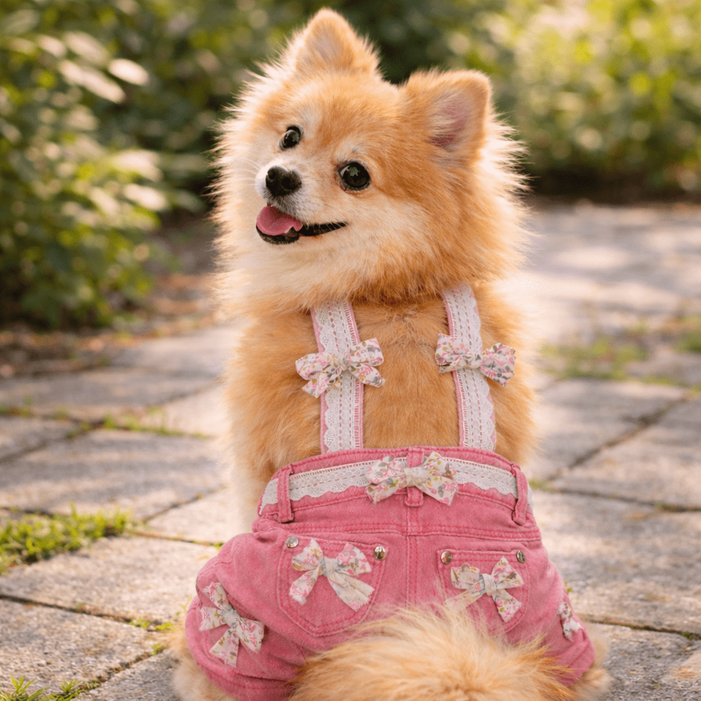 Heads or Tails Pup Pink with Floral Pink Bows Dog Overalls