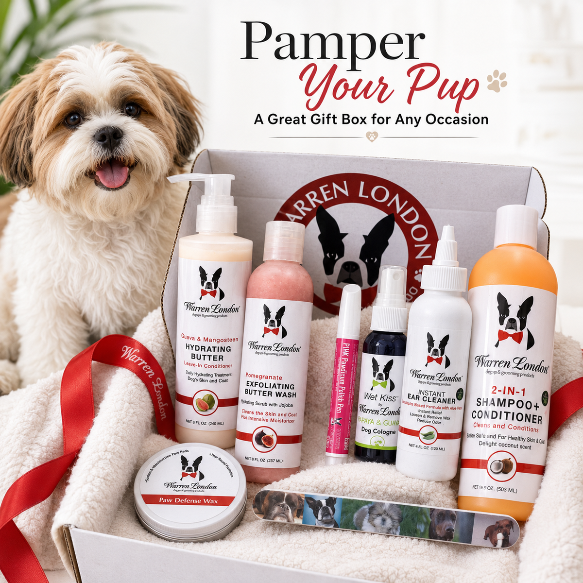 Warren London Dog Gift Box | HT Animal Supply