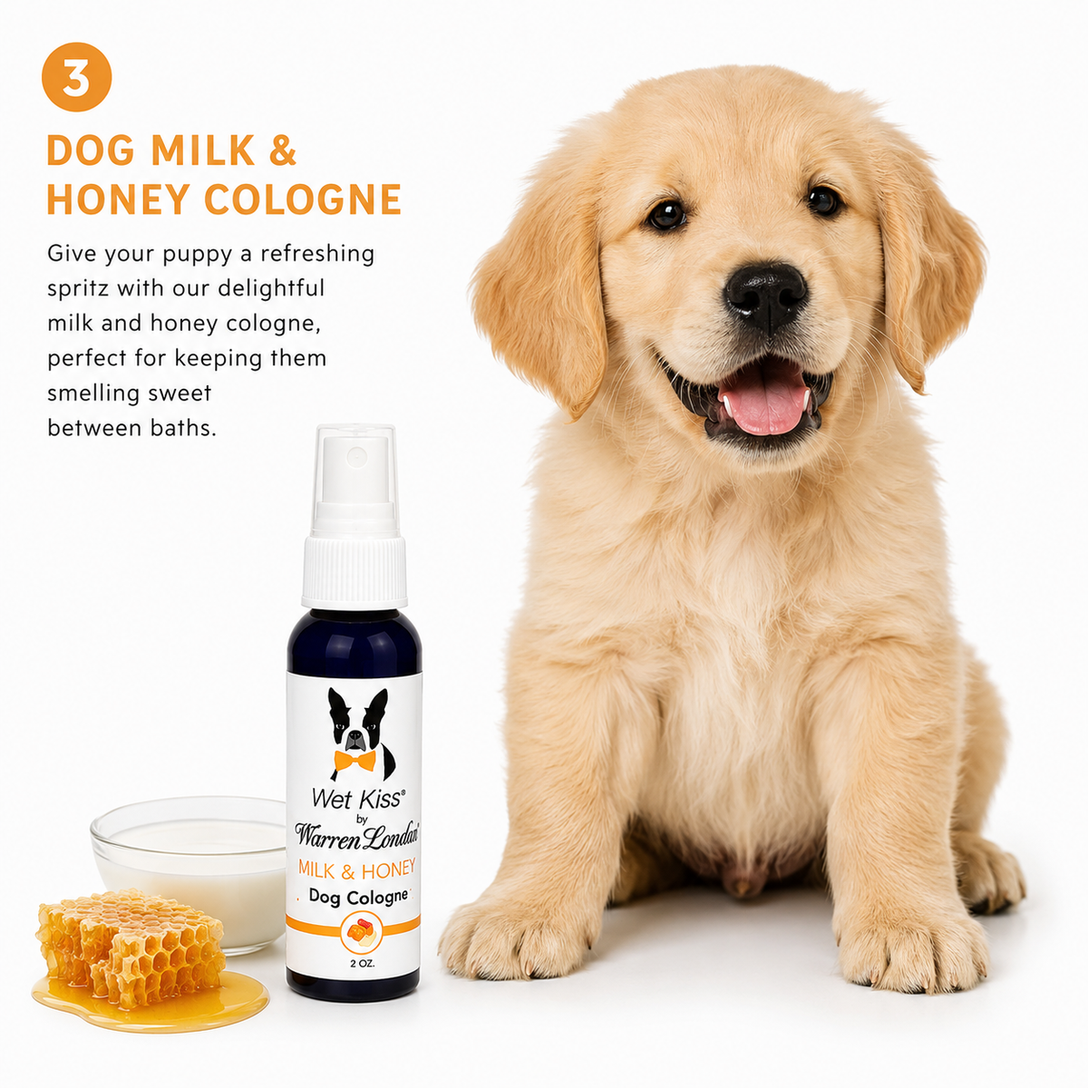 Warren London Puppy Bundle Gift Box | HT Animal Supply