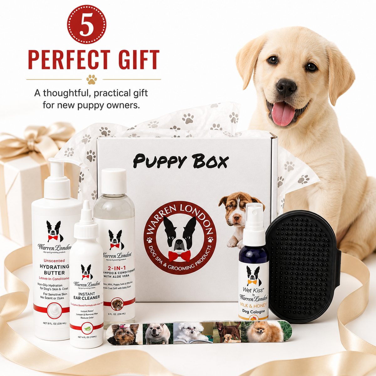 Warren London Puppy Bundle Gift Box | HT Animal Supply