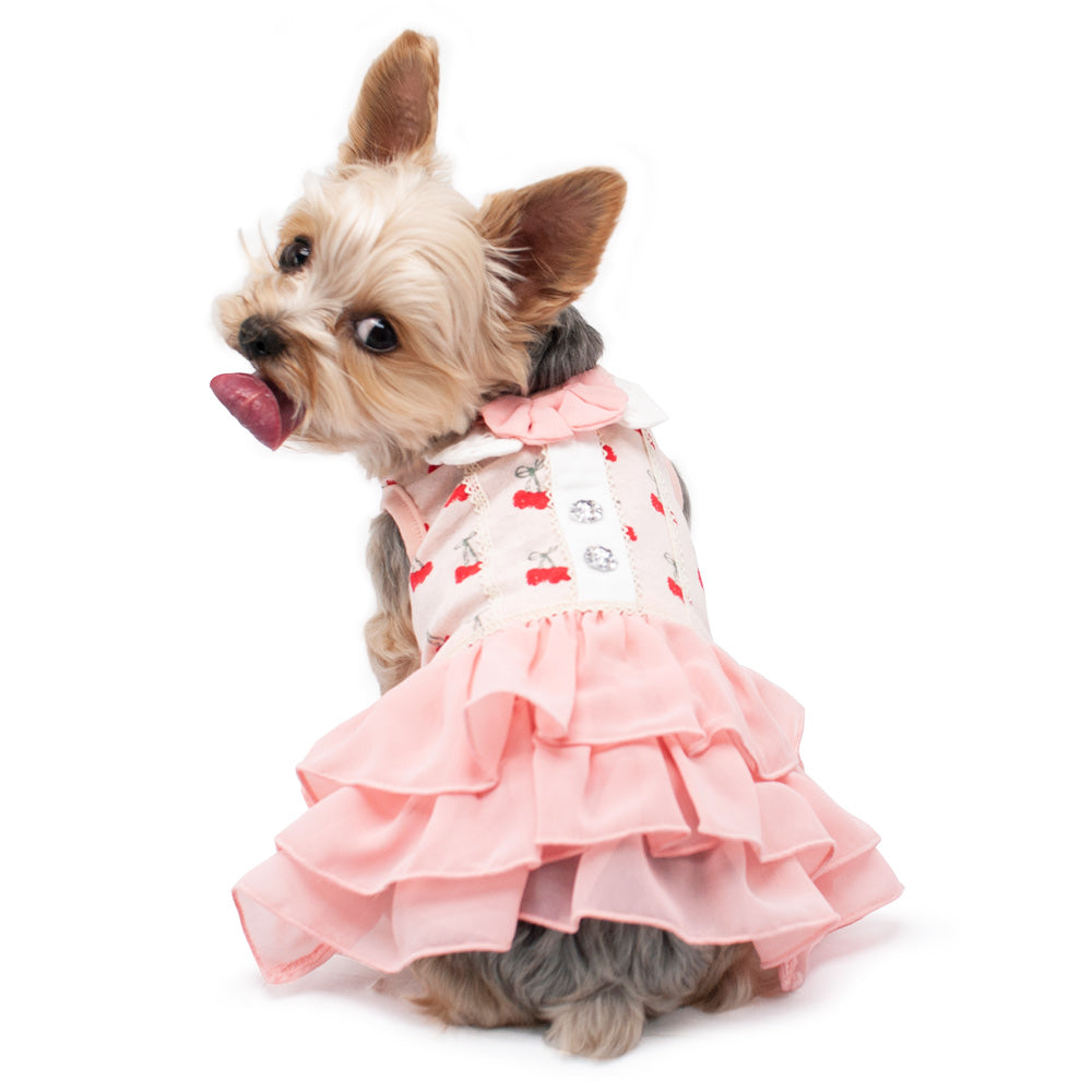 DOGO Cherish Cherry Dog Dress