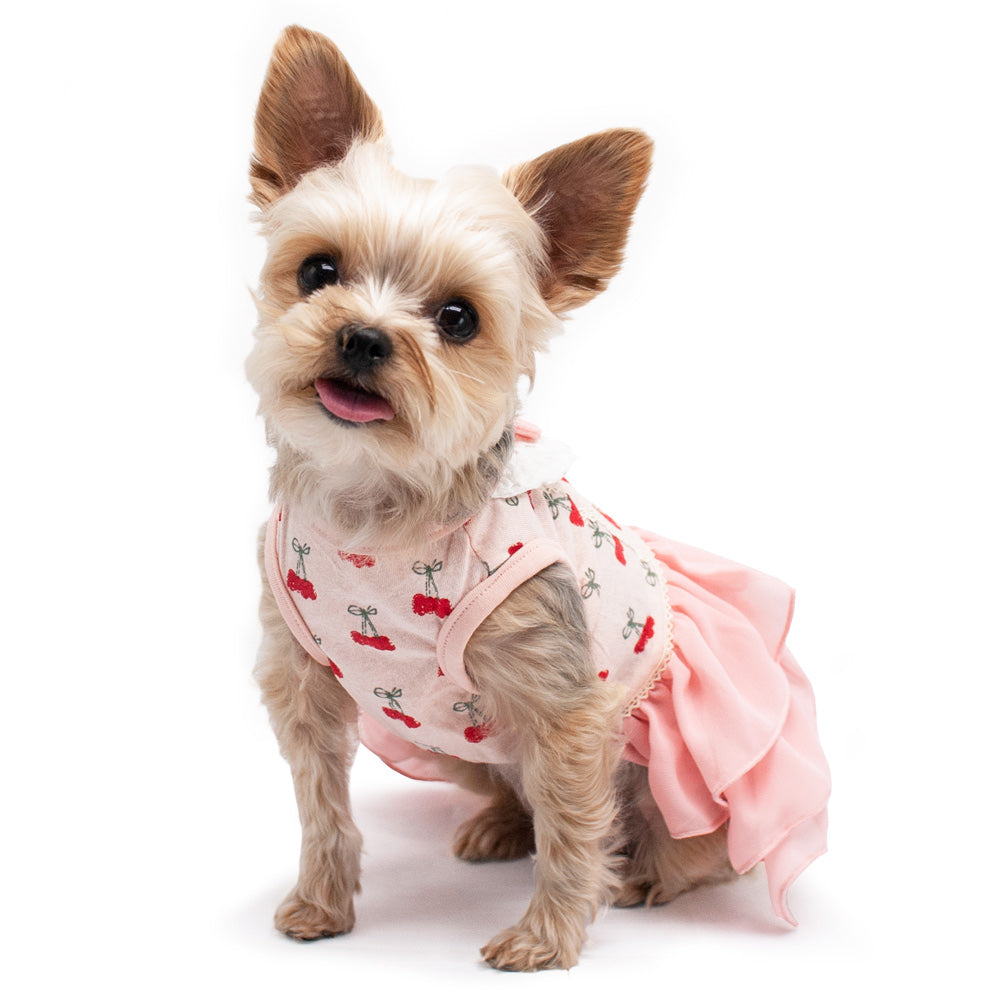 DOGO Cherish Cherry Dog Dress