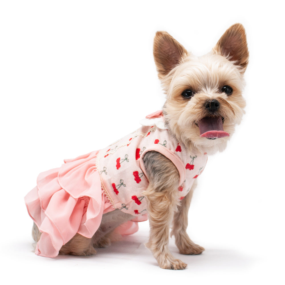 DOGO Cherish Cherry Dog Dress