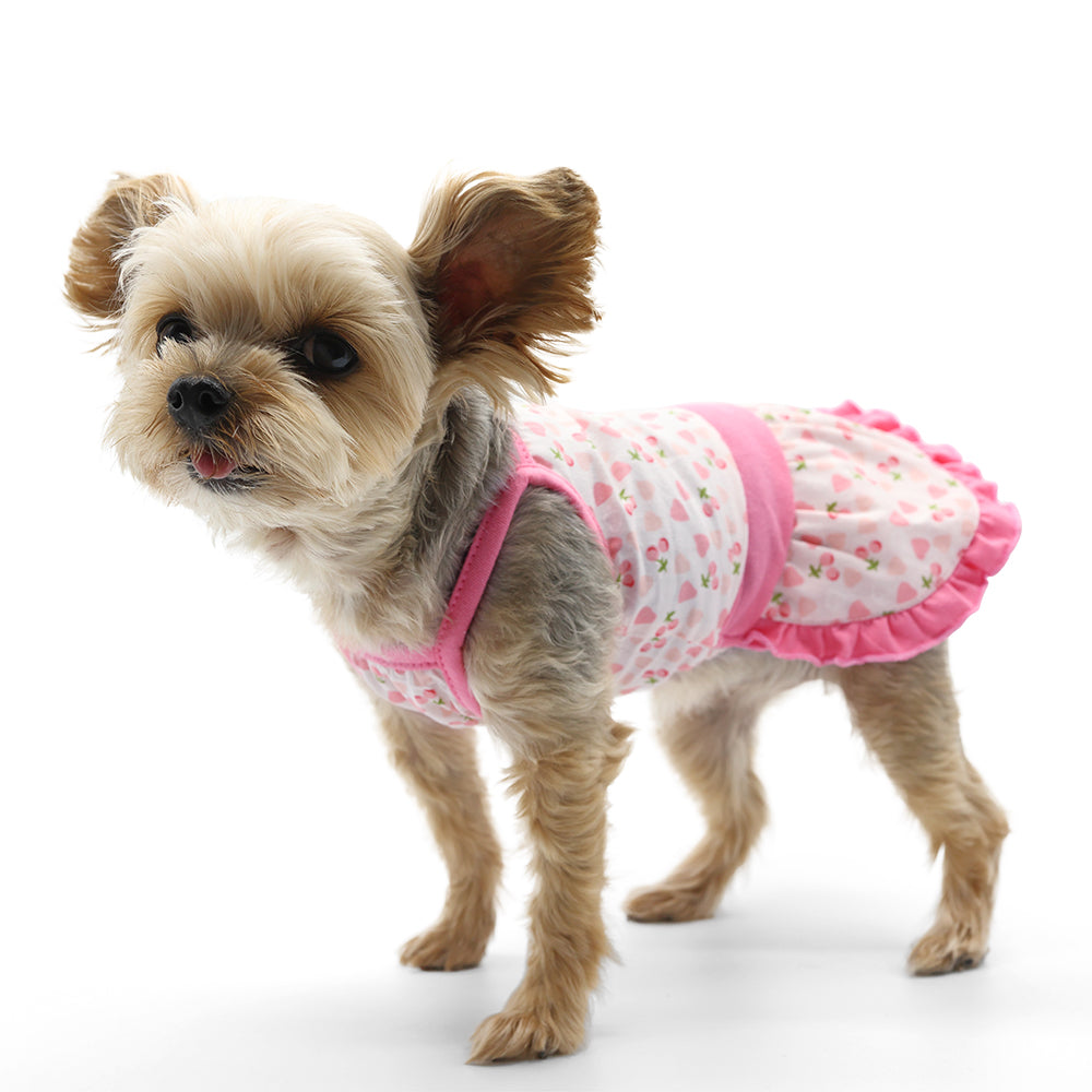 DOGO Cherish Heart Dog Dress