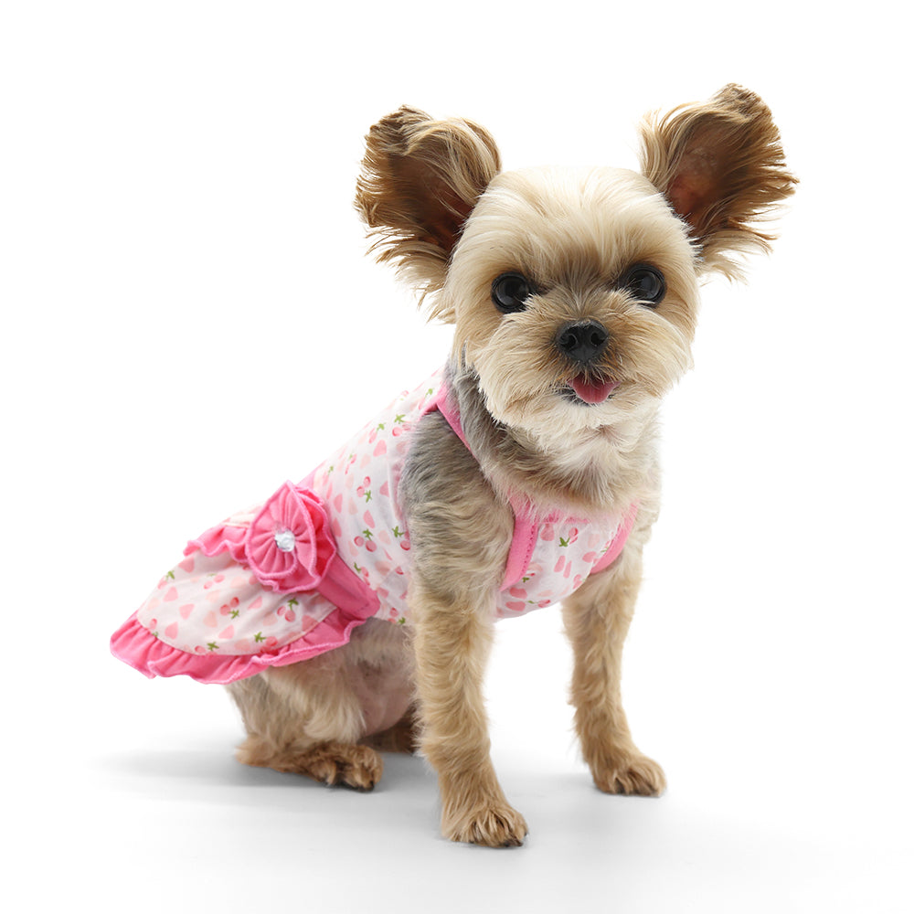DOGO Cherish Heart Dog Dress