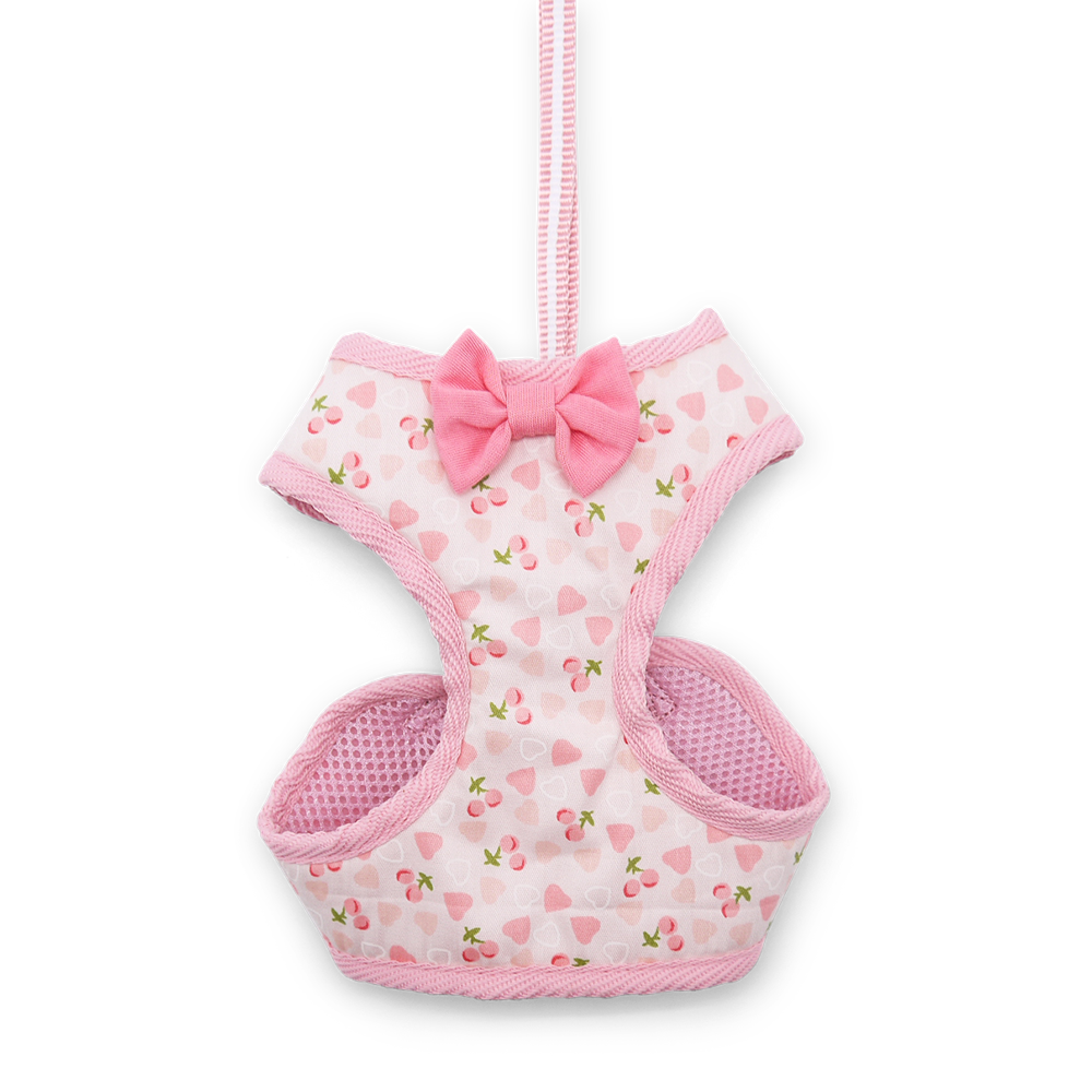 DOGO EasyGO Cherish Heart Dog Harness and Leash Set