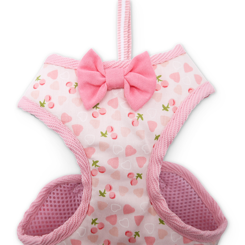 DOGO EasyGO Cherish Heart Dog Harness and Leash Set