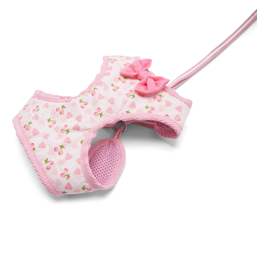 DOGO EasyGO Cherish Heart Dog Harness and Leash Set