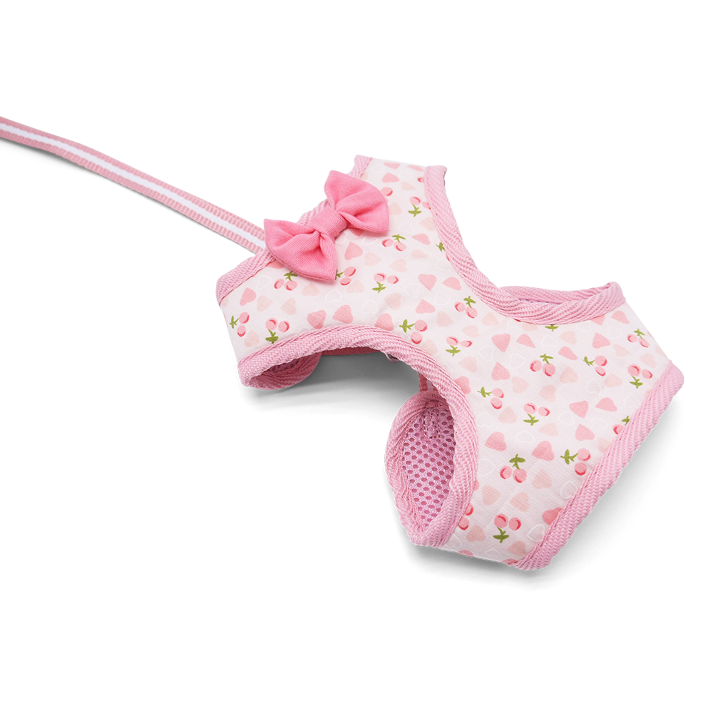 DOGO EasyGO Cherish Heart Dog Harness and Leash Set