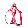 Up Country Cherries Dog Cast Brass Dog Harness
