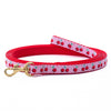 Up Country Cherries Small Breed Dog Leash Made in USA