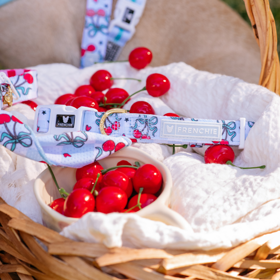 Frenchie Comfort Collar - Cherries Blue