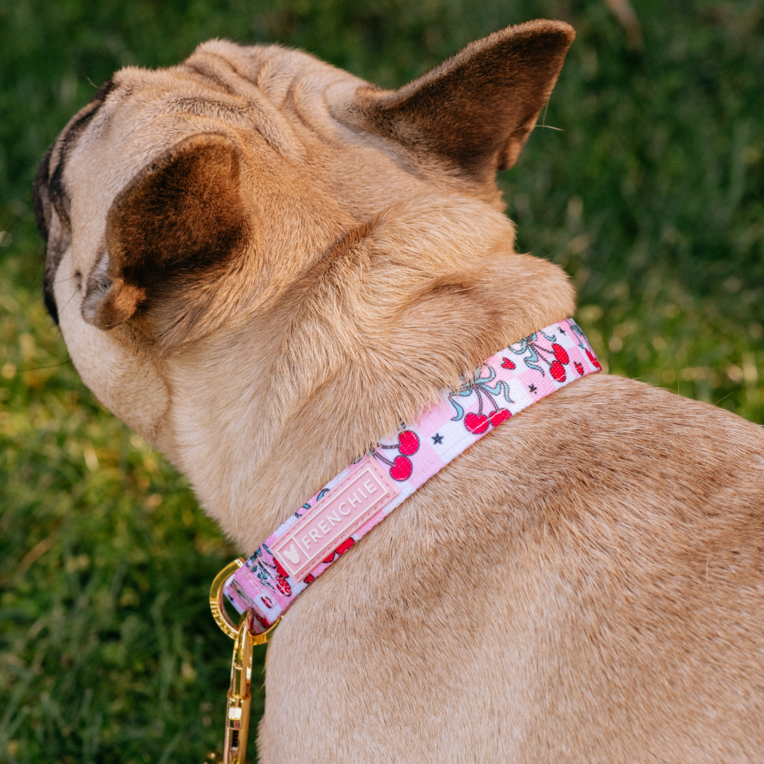 Frenchie Comfort Collar - Cherries Red