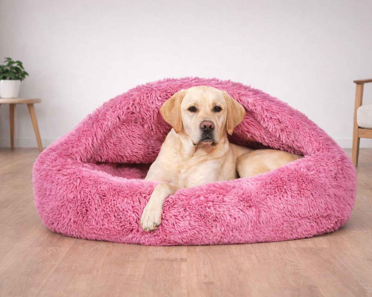 Bowsers Canopy Cozy Pet Bed - Soft Nesting Comfort for Small Spaces
