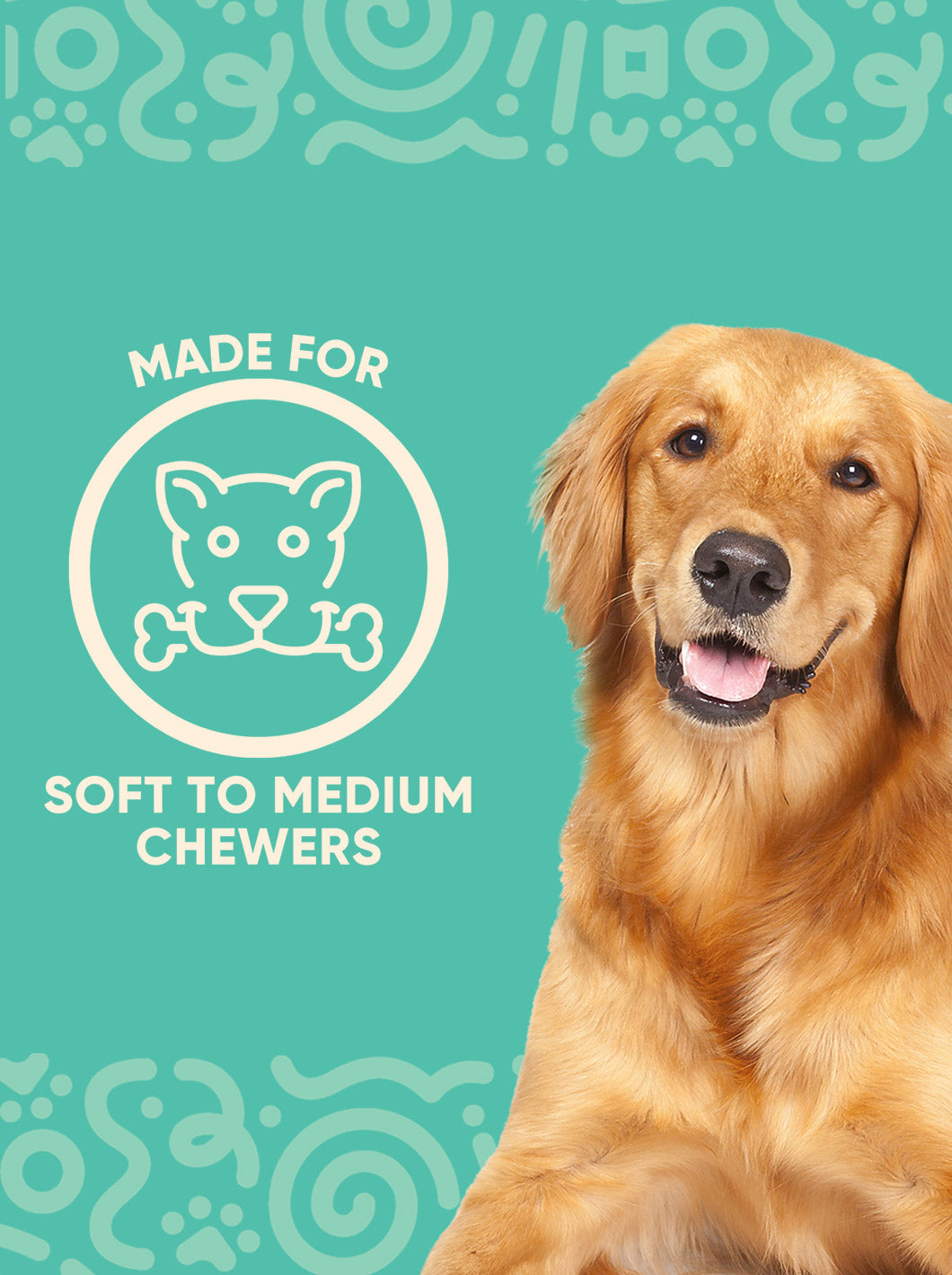 BetterFeeder Elevated Dog Feeder