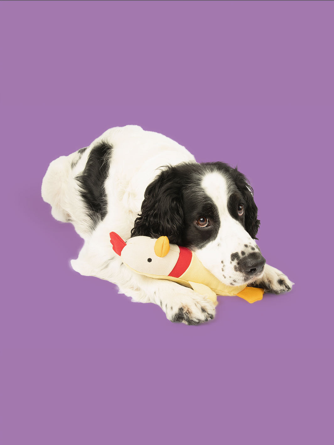 Clucky Plush Canvas Crinkle Dog Toy