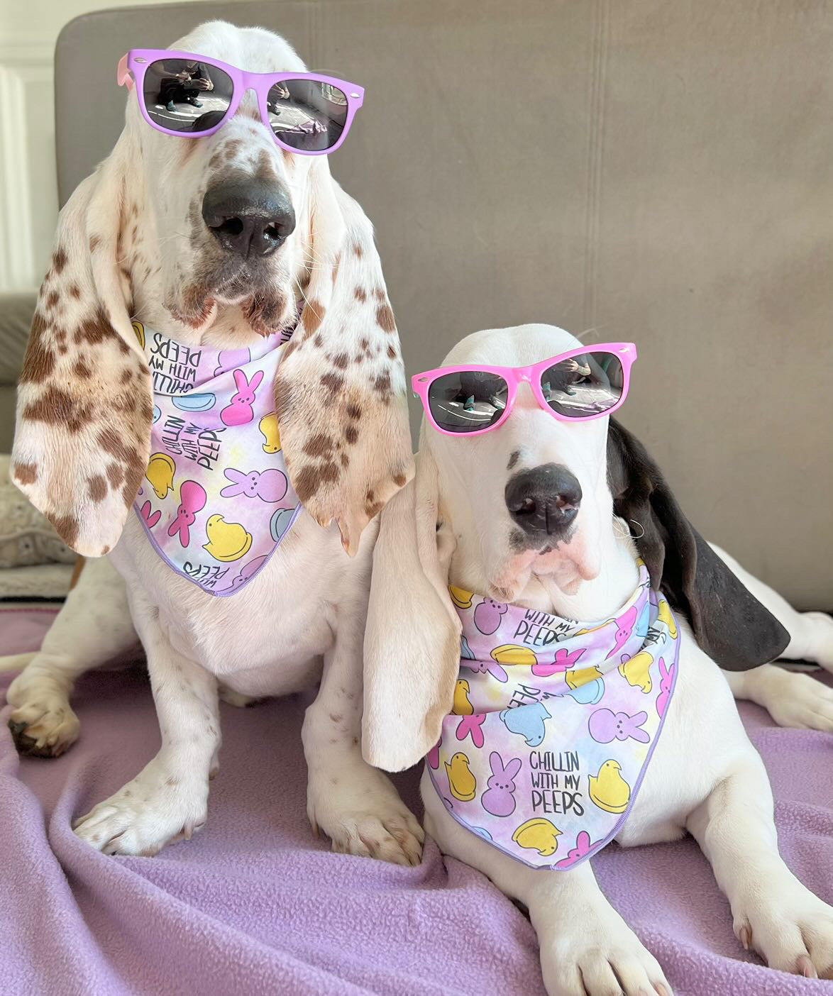 Chillin with My Peeps Bandana