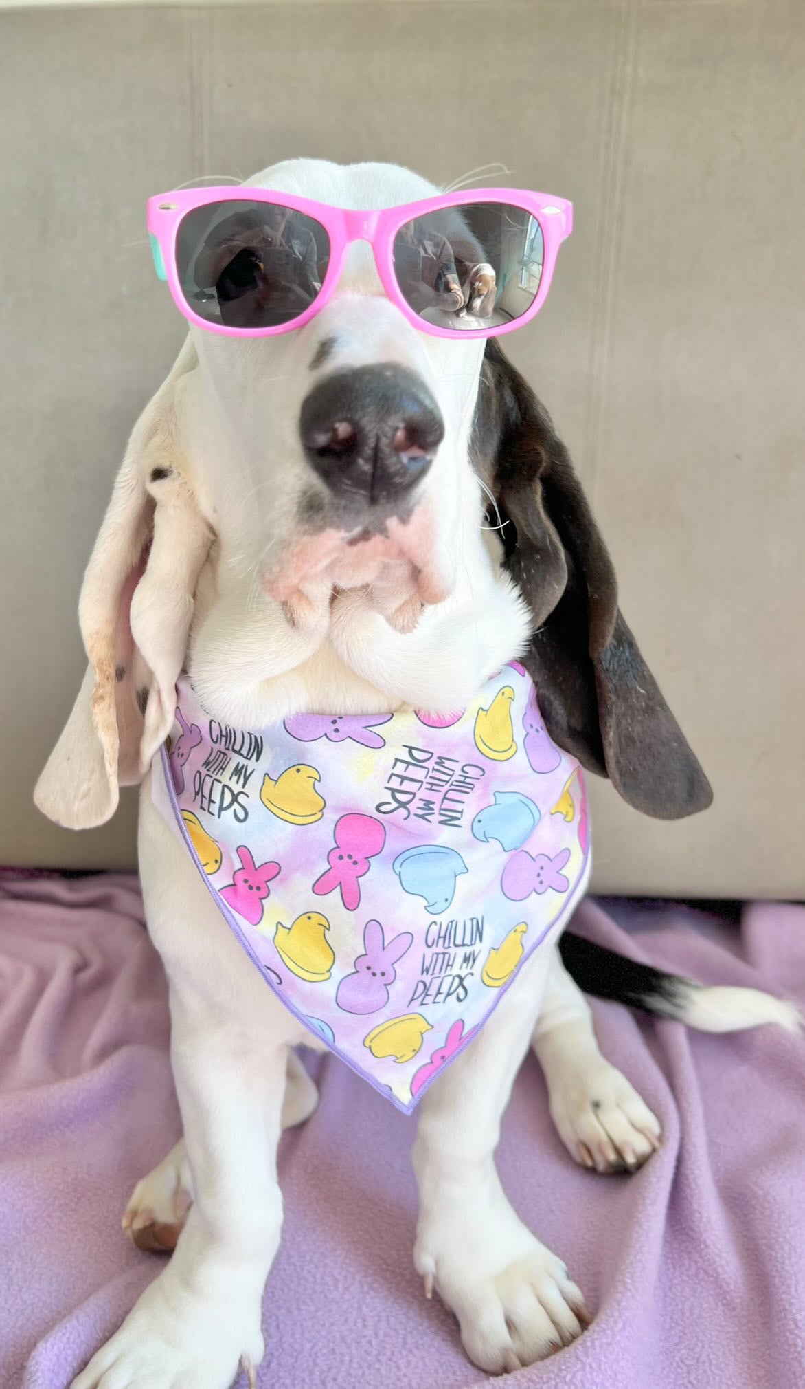 Chillin with My Peeps Bandana