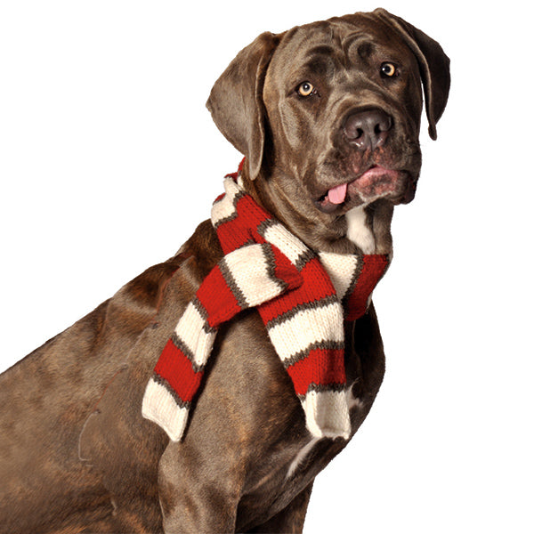 Chilly Dog Red and White Striped Wool Pet Scarf