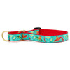 Up Country Cinco de Mayo Cast Brass Martingale Collar