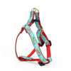 Up Country Cinco De Mayo Small Breed Dog Harness Made in USA