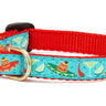Cinco de Mayo Small Breed Dog Collar