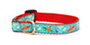 Up Country Cinco De Mayo Small Breed Dog Collar Made in USA
