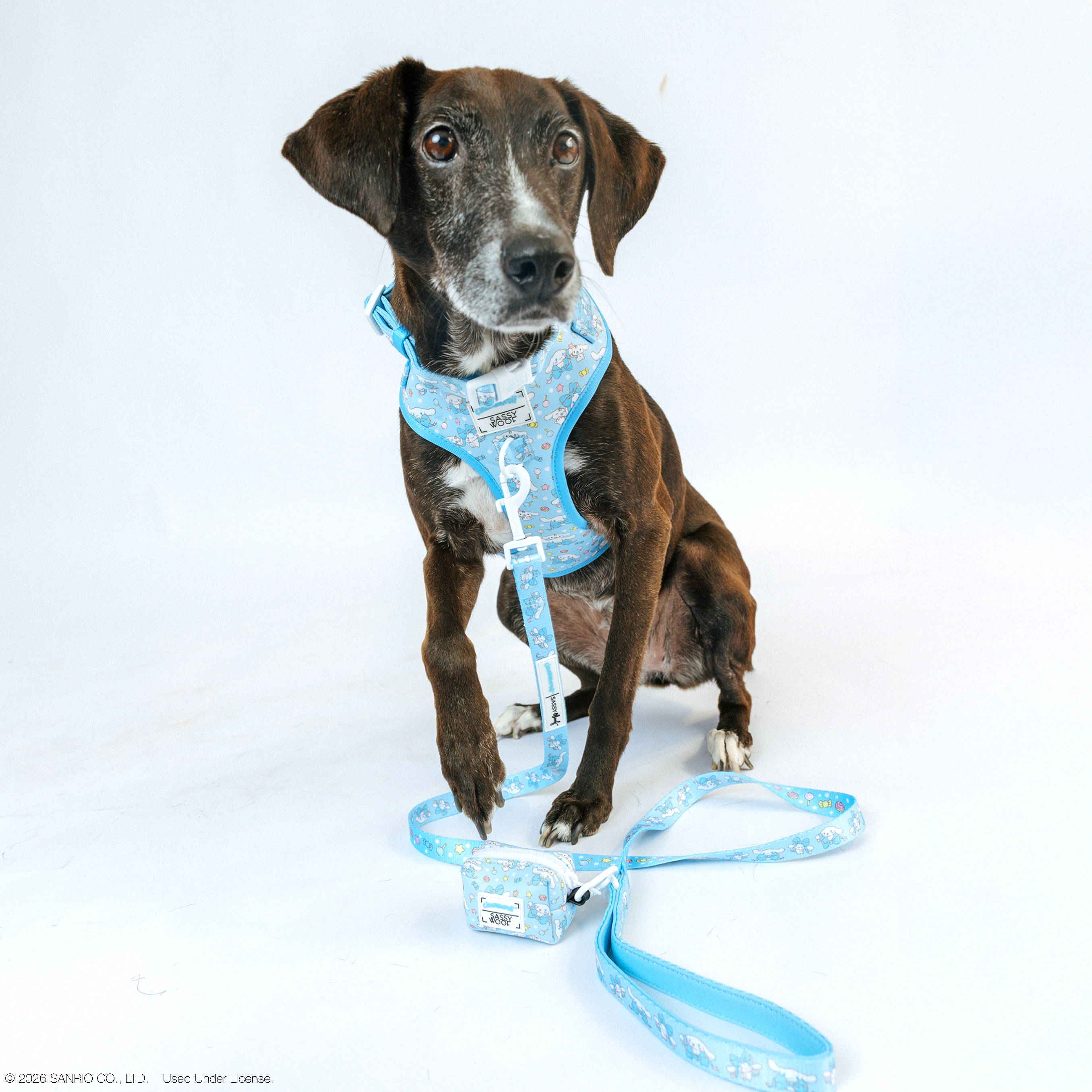 Dog Adjustable Harness - Cinnamoroll™
