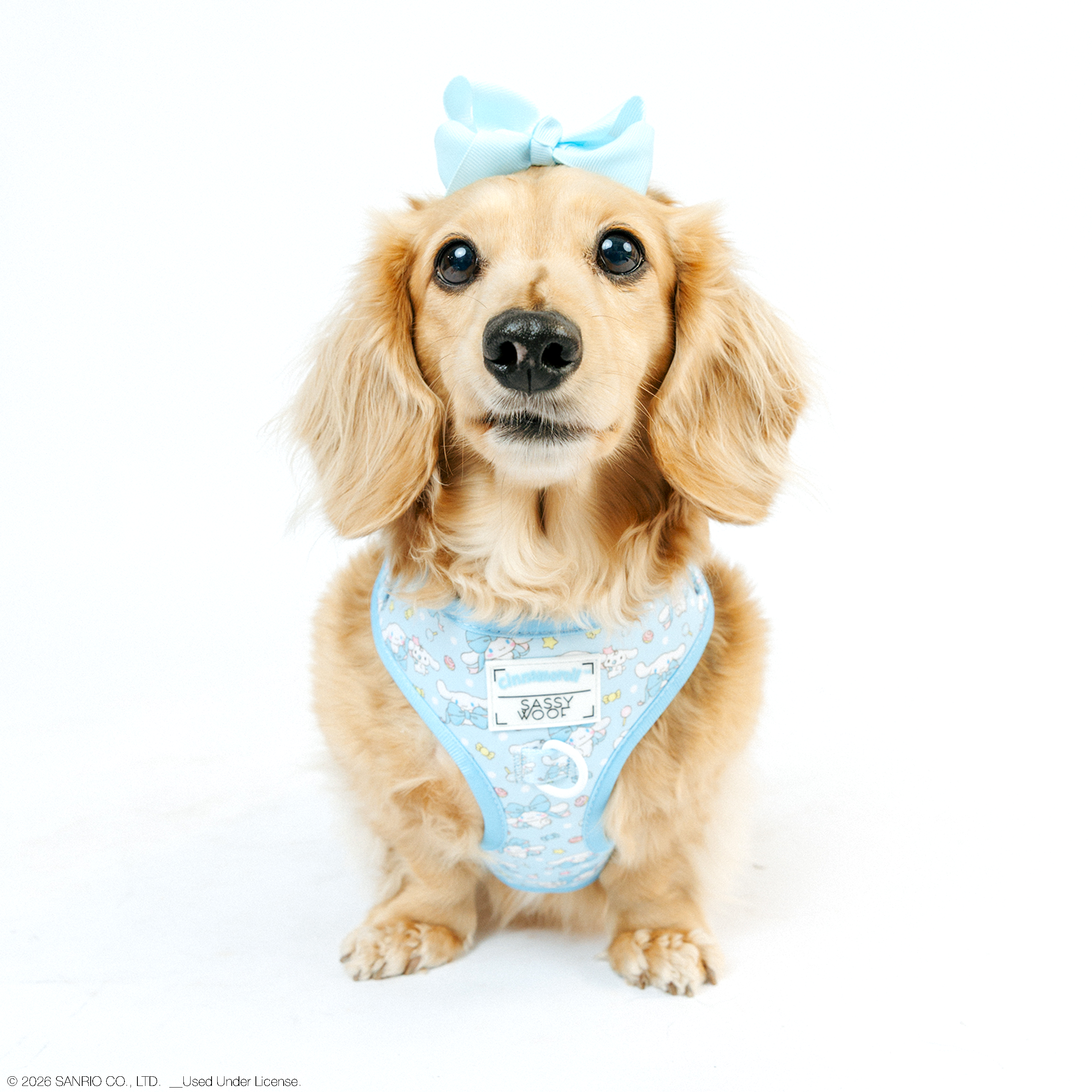 Dog Adjustable Harness - Cinnamoroll™