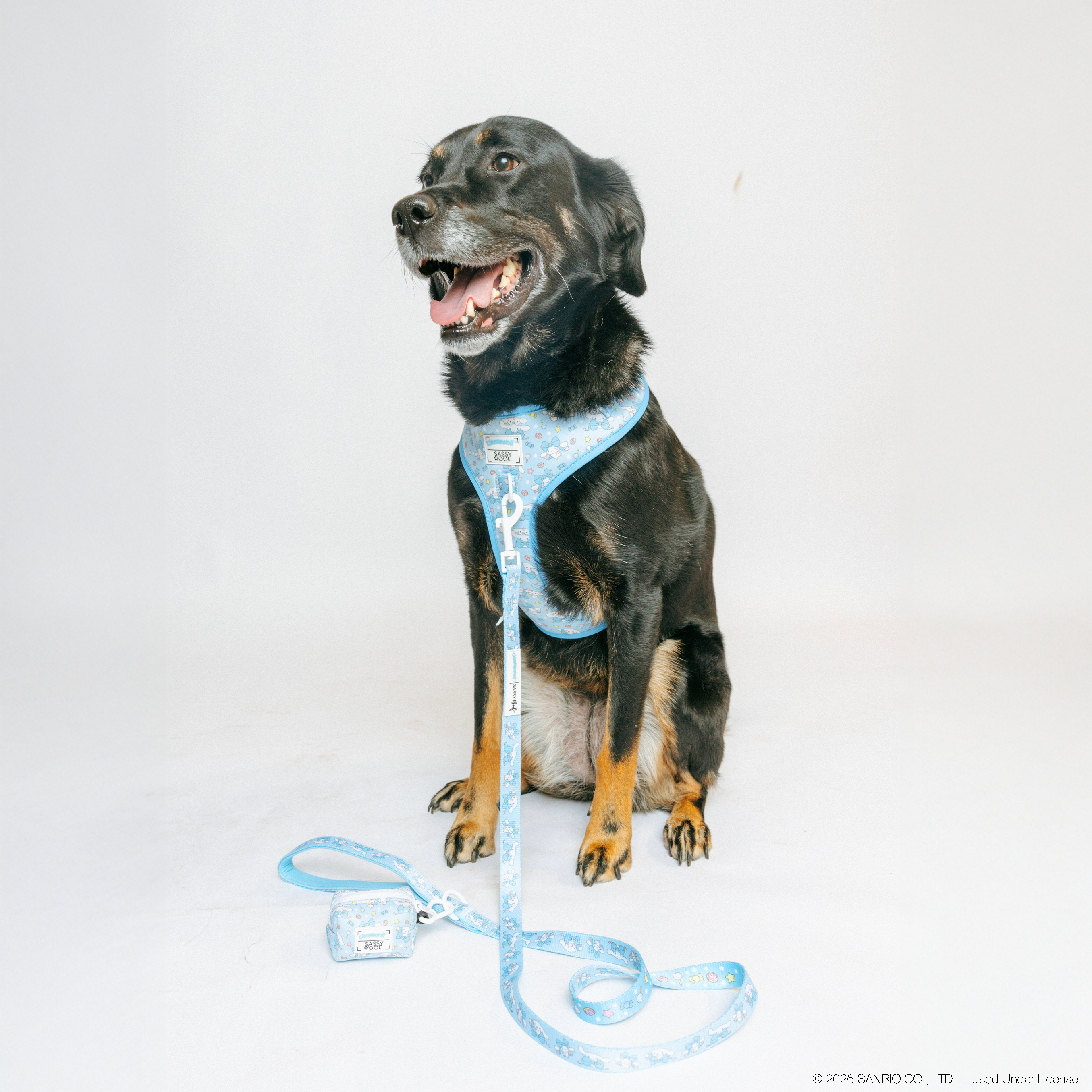 Dog Adjustable Harness - Cinnamoroll™
