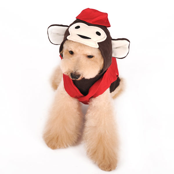 DOGO Circus Monkey Dog Hoodie
