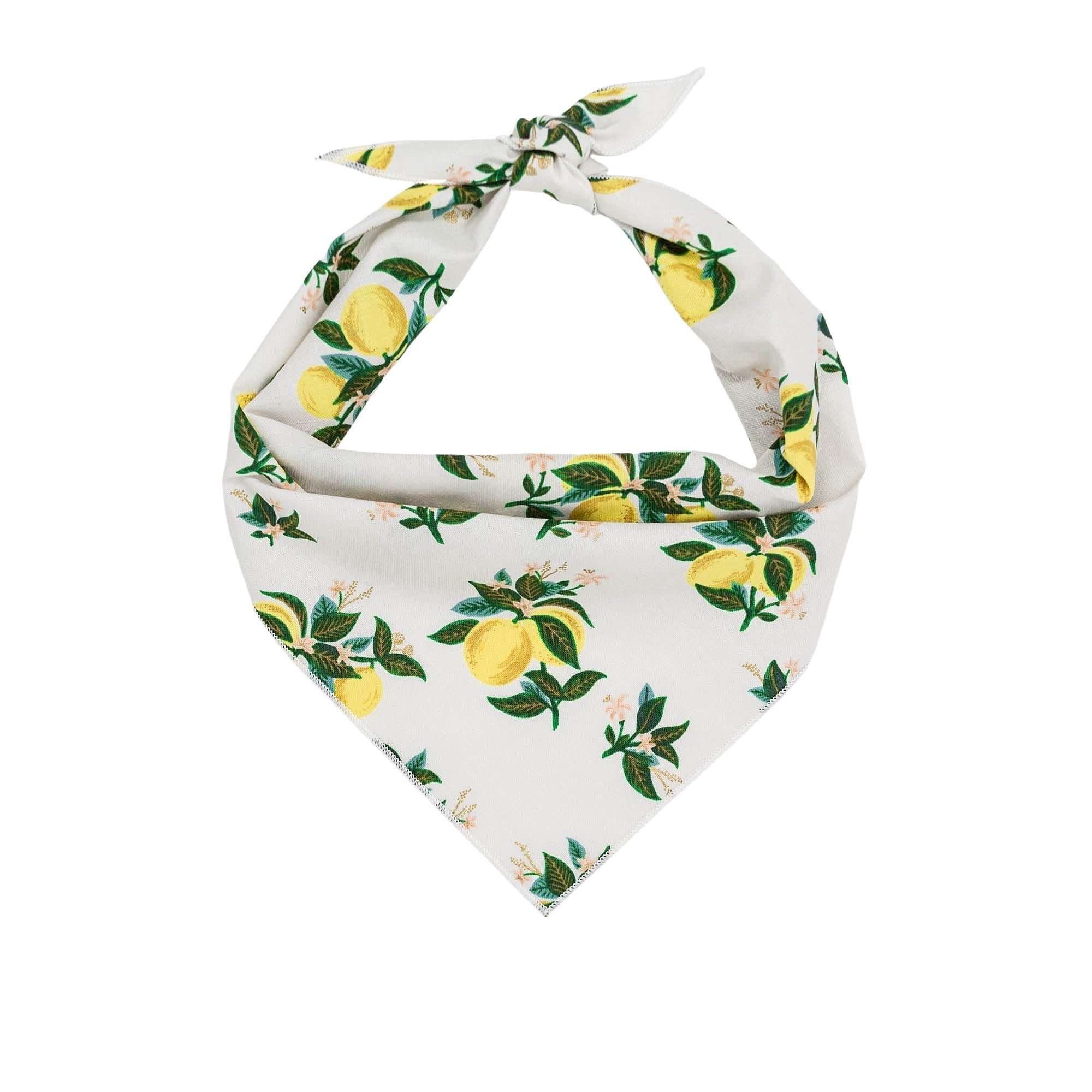 Citrus Blossom Lemon Dog Bandana
