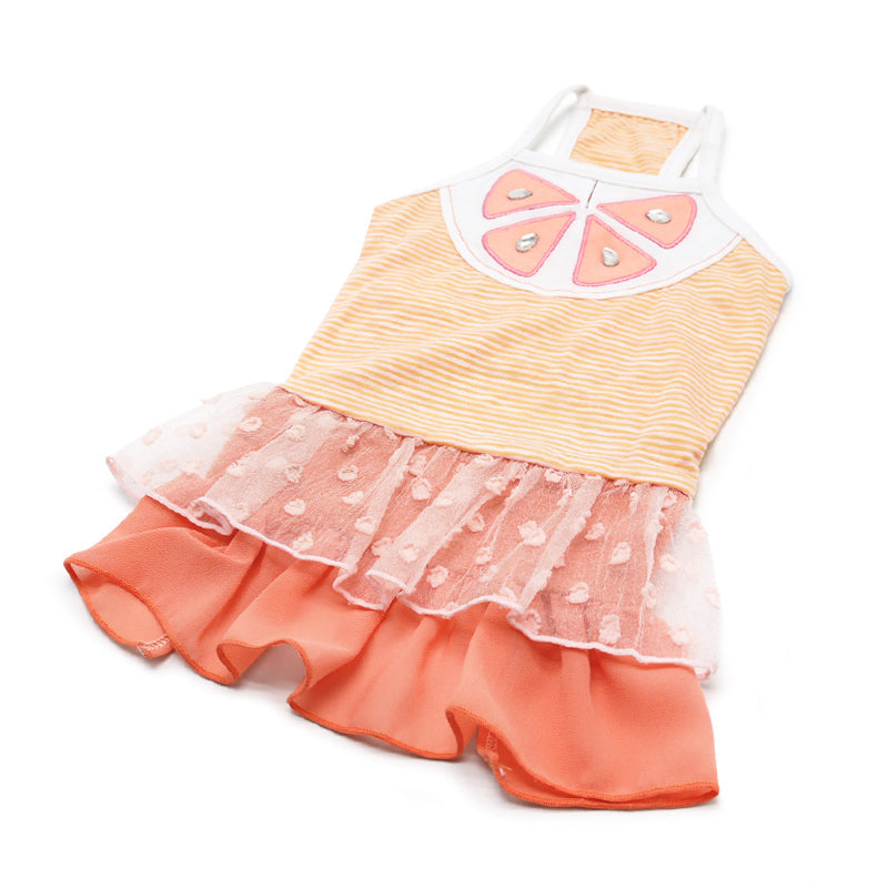 DOGO Citrus Dog Dress