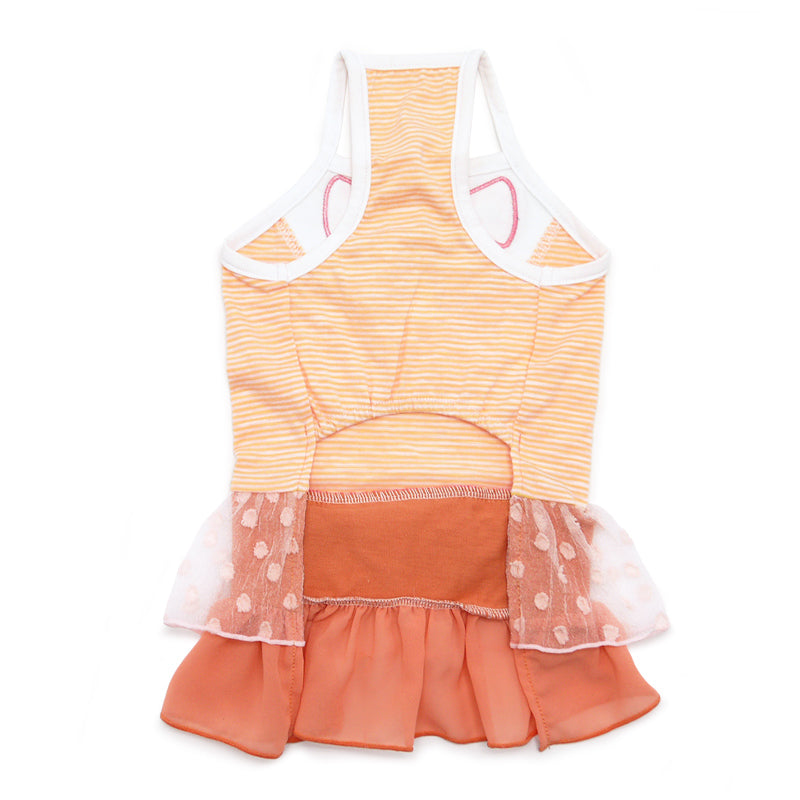 DOGO Citrus Dog Dress