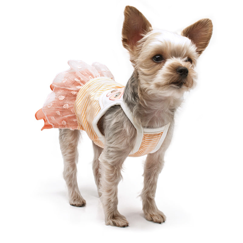DOGO Citrus Dog Dress
