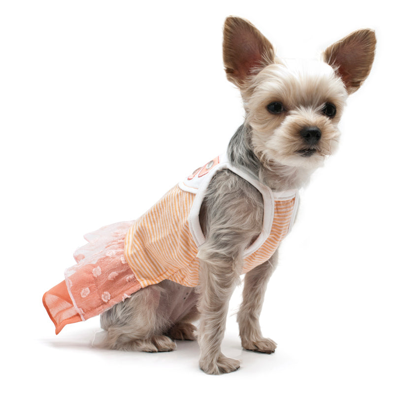 DOGO Citrus Dog Dress