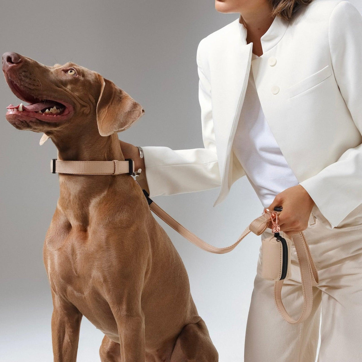 DOGISTRY 3-in-1 City Dog Leash - Dune
