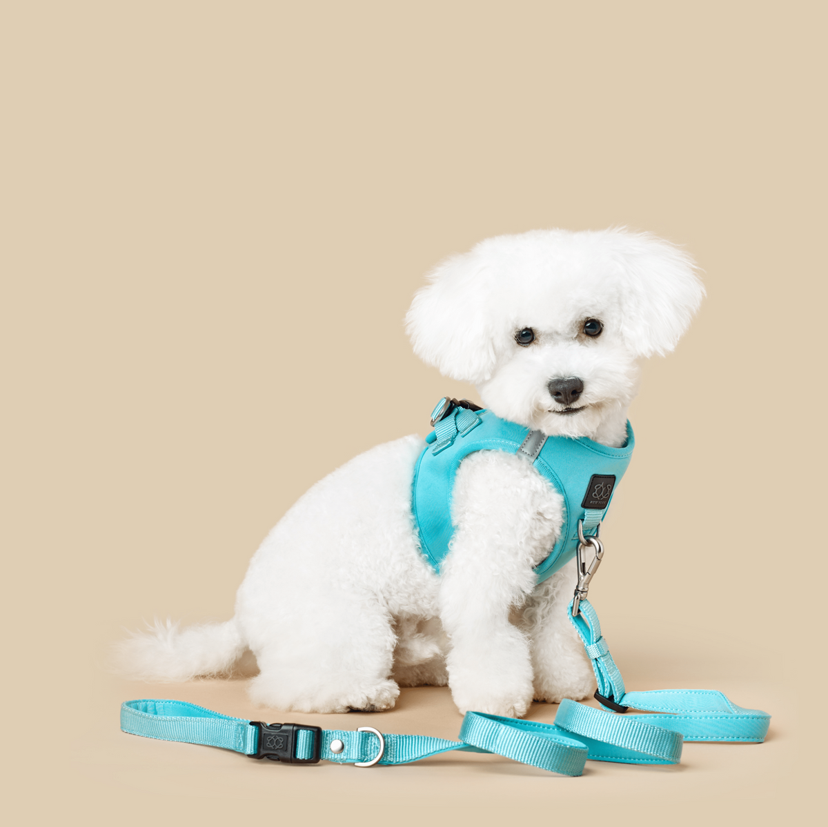 DOGISTRY 3-in-1 City Dog Leash - Fifth Avenue