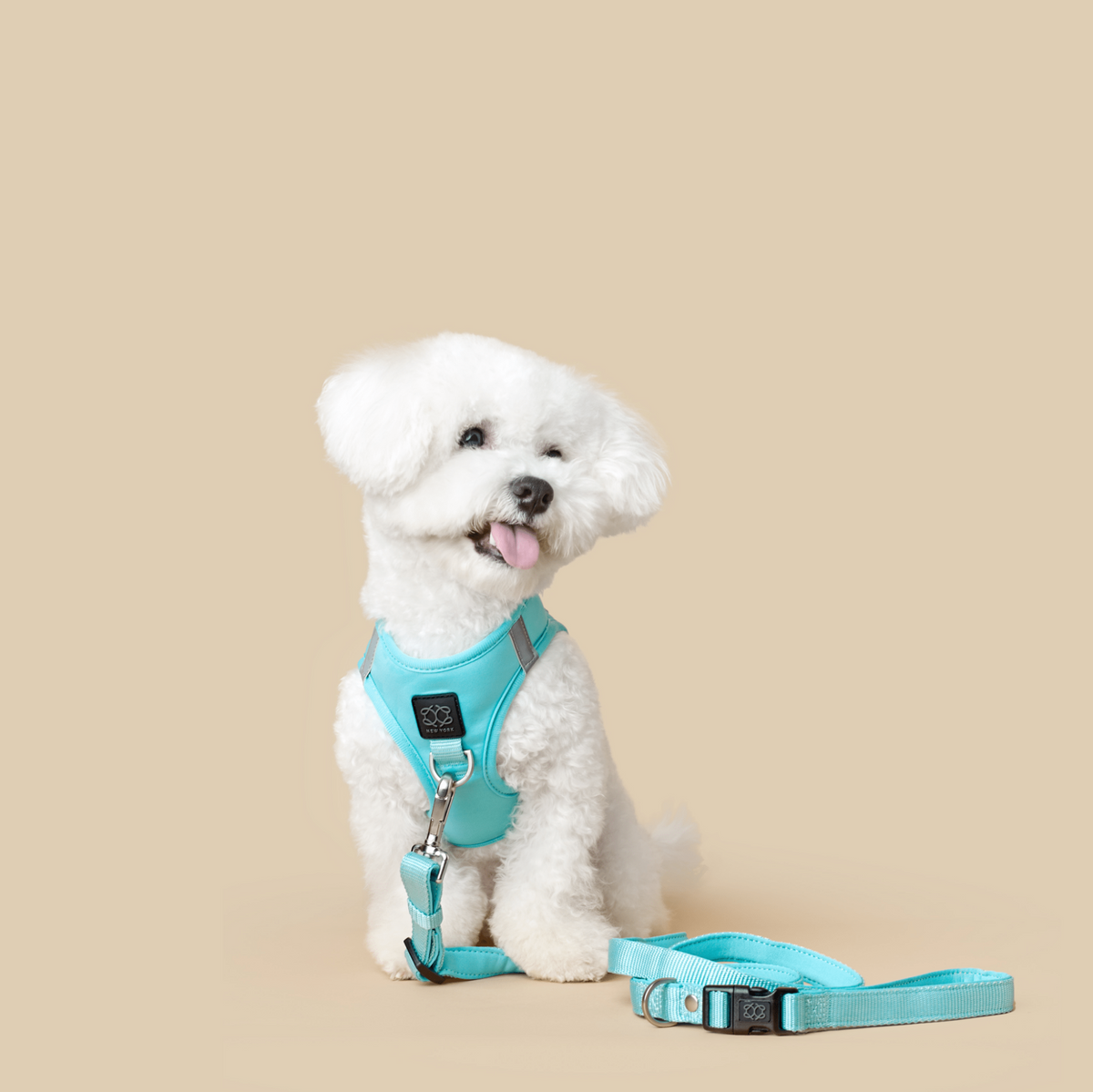 DOGISTRY 3-in-1 City Dog Leash - Fifth Avenue