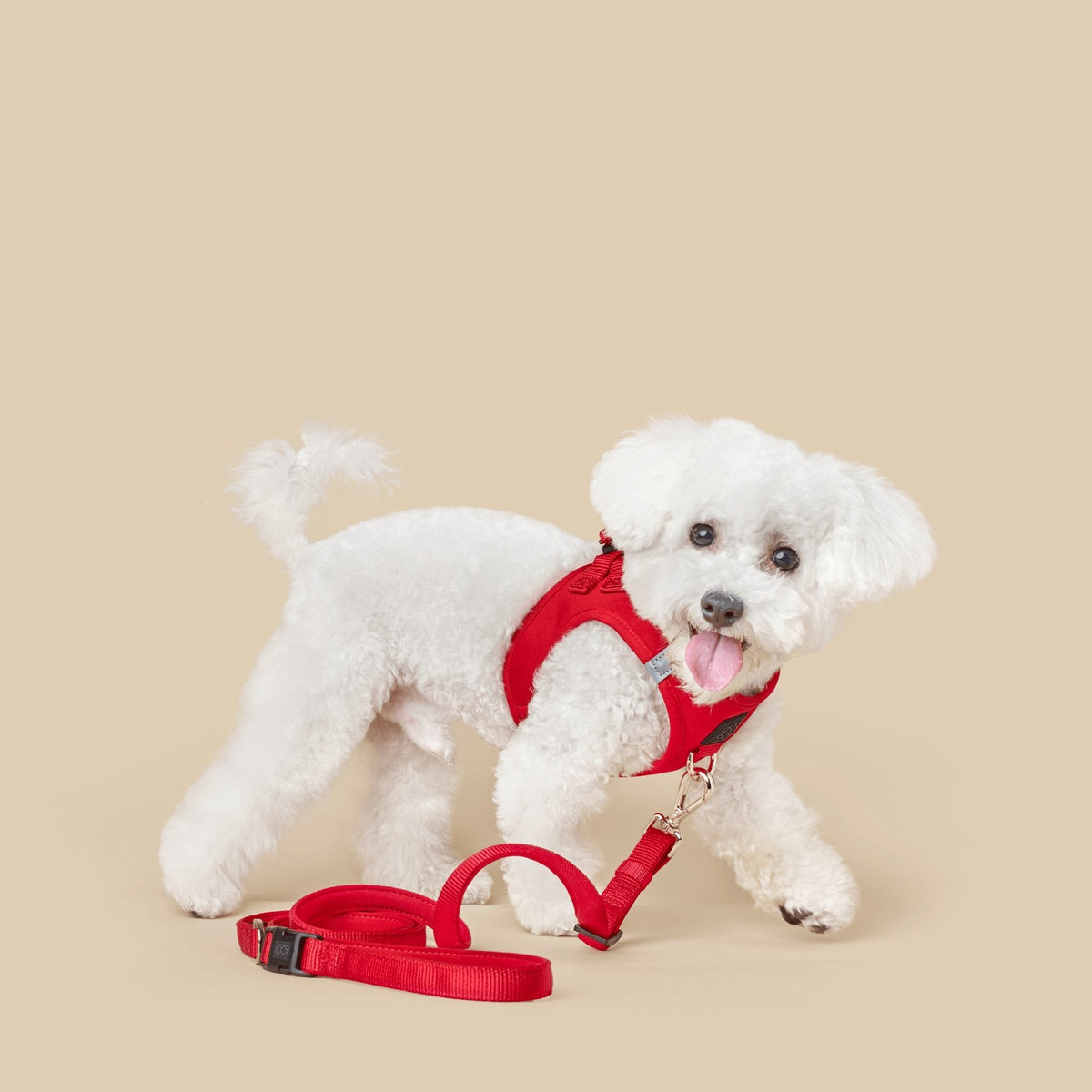 DOGISTRY 3-in-1 City Dog Leash - Iconic Red