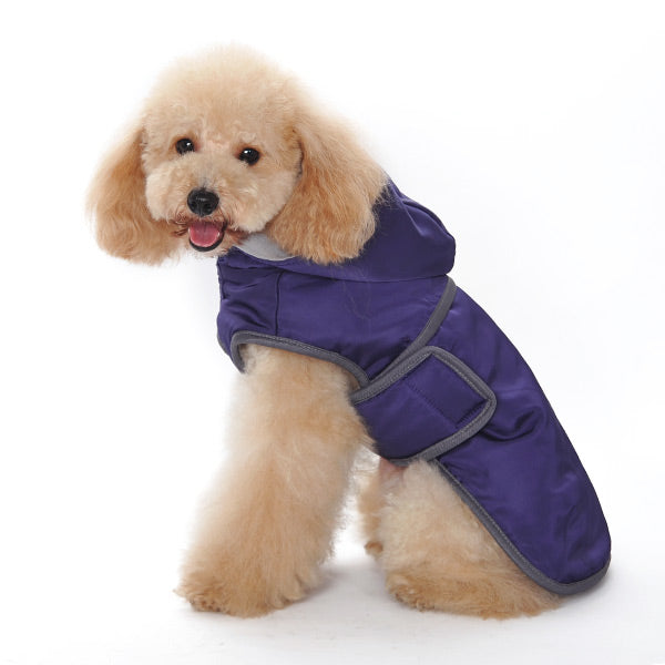 DOGO Classic Dog Trench Coat