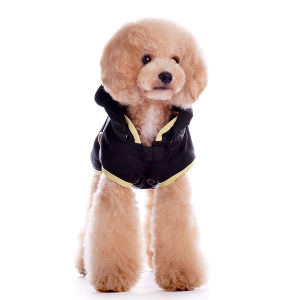Classic Trench Coat