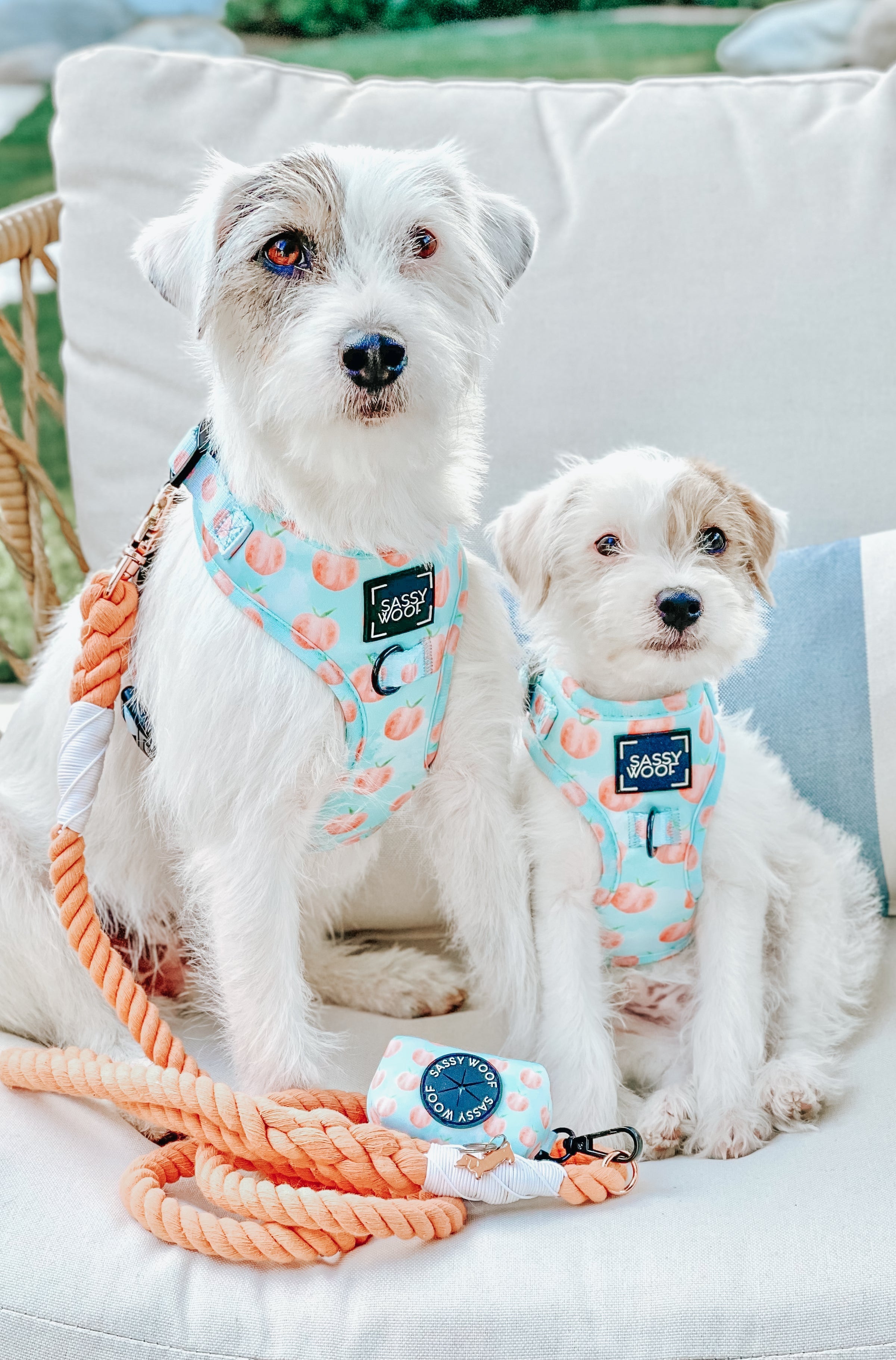 Dog Rope Leash - Clementine