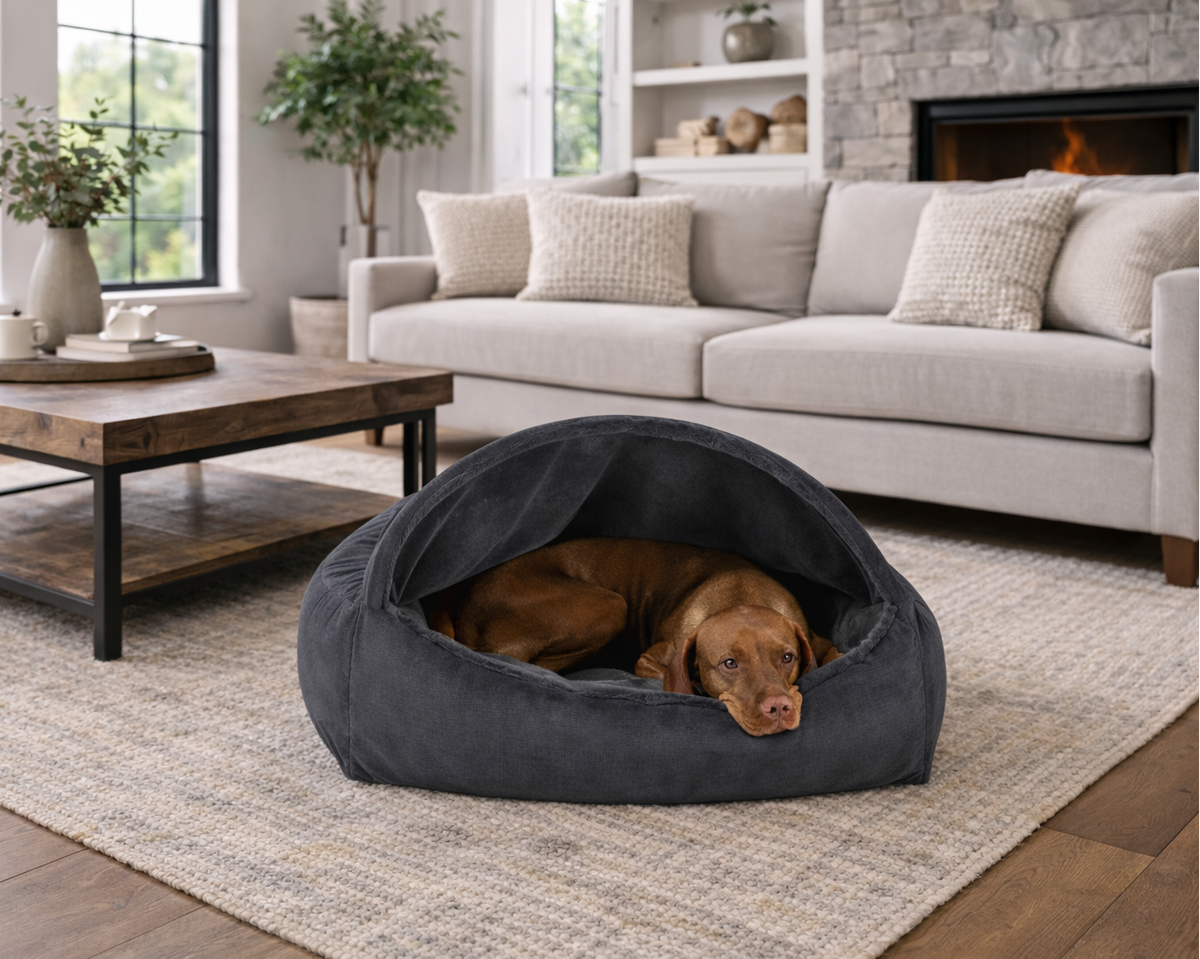 Bowsers Canopy Orthopedic Dog Bed - Supportive Joint-Relief Comfort