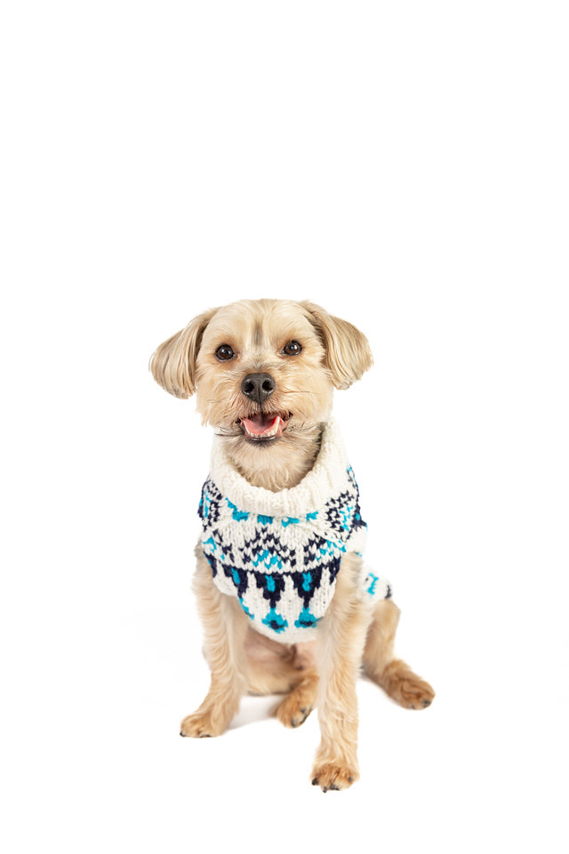 Coastal Cable Knit Dog Sweater