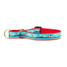 Coastal Martingale