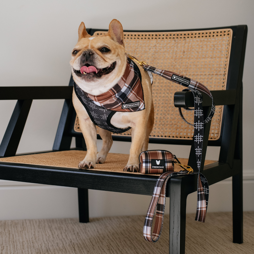 Frenchie Poo Bag Holder - Cocoa Plaid