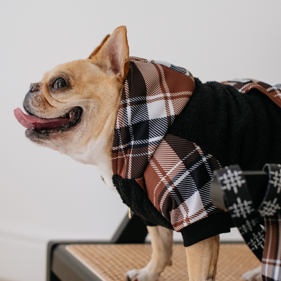 Frenchie Dog Hoodie - Cocoa Plaid