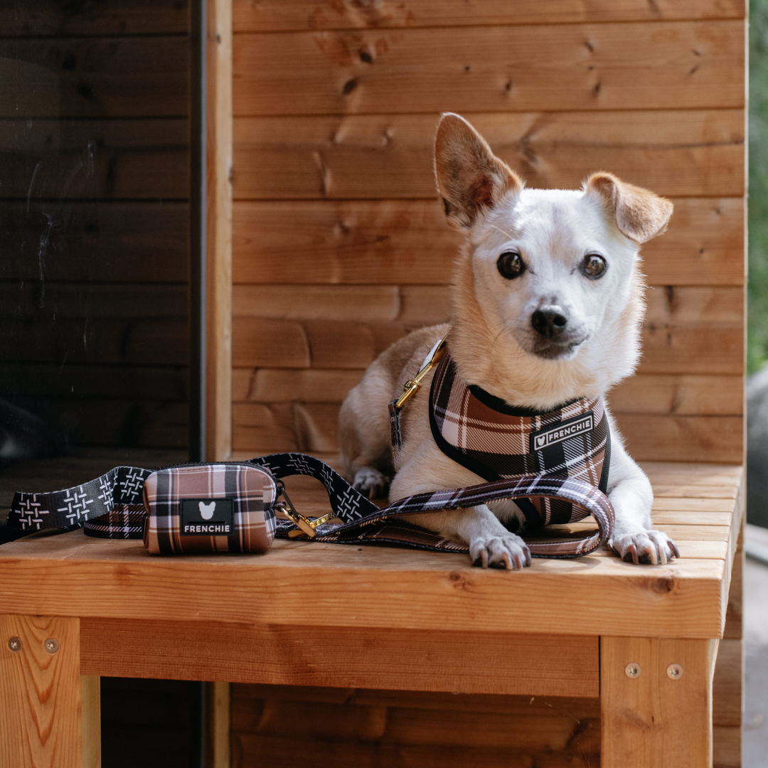 Frenchie Duo Reversible Harness - Cocoa Plaid